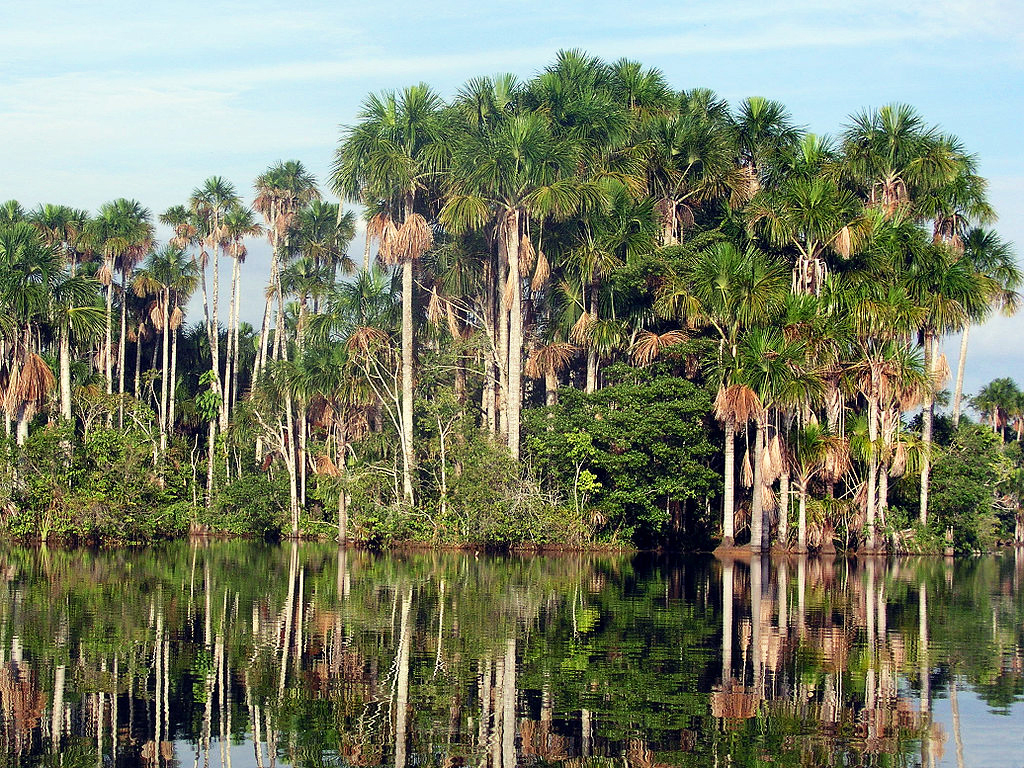 Lake in Puerto Maldonado Peru