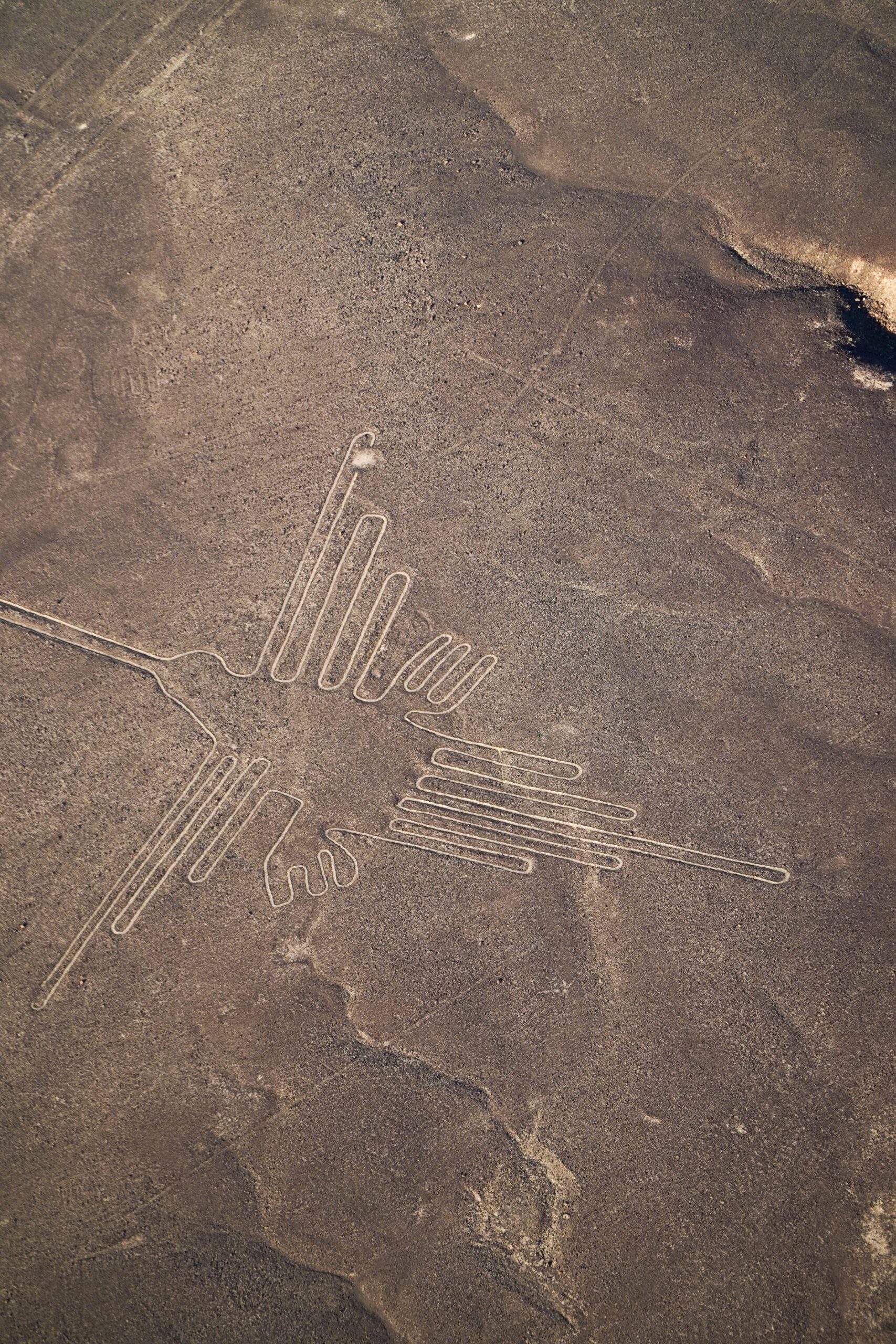 Nazca Lines Overflight , Ballestas and Huacachina