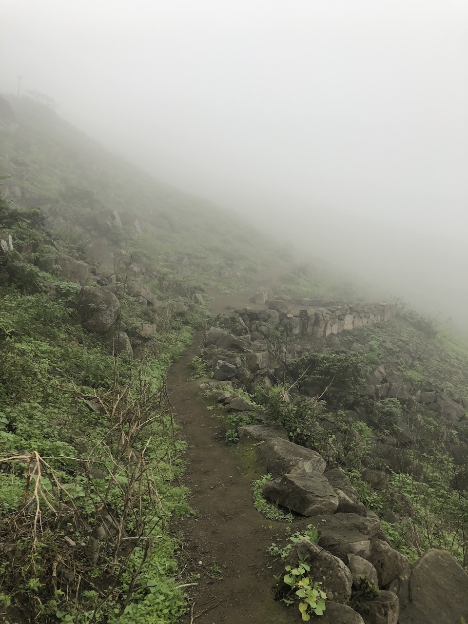 Lomas de Lucumo Peru