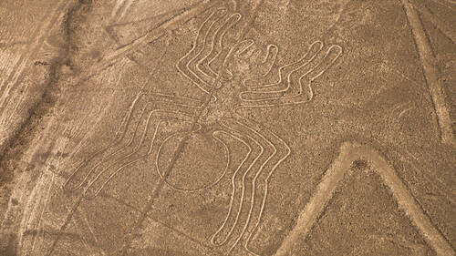 Nazca Lines Spider