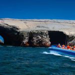 Ballestas Islands Tour