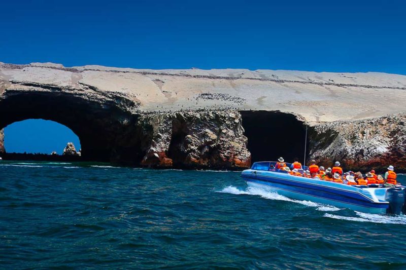 Everything You Need To Know Before Heading On A Ballestas Islands Tour