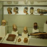 The Paracas Culture