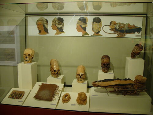 The Paracas Culture