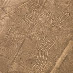 The Nazca Lines Spider